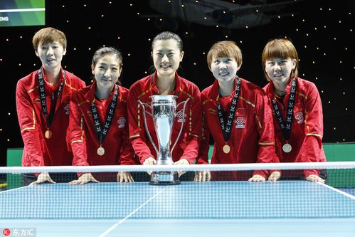 2013乒乓球世界杯